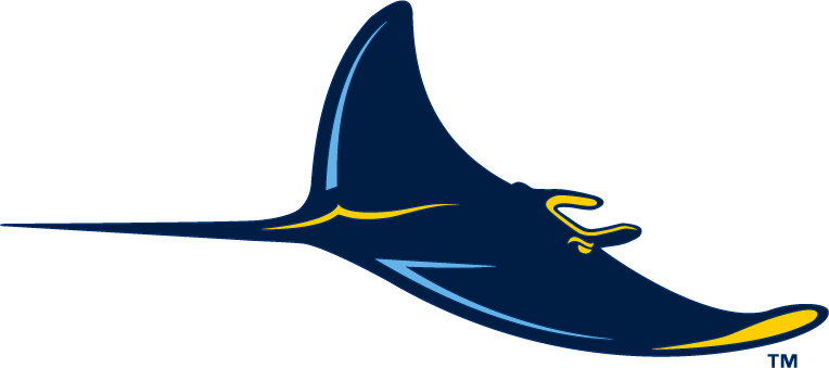 Tampa Bay Rays 2008-Pres Alternate Logo t shirts iron on transfers v2